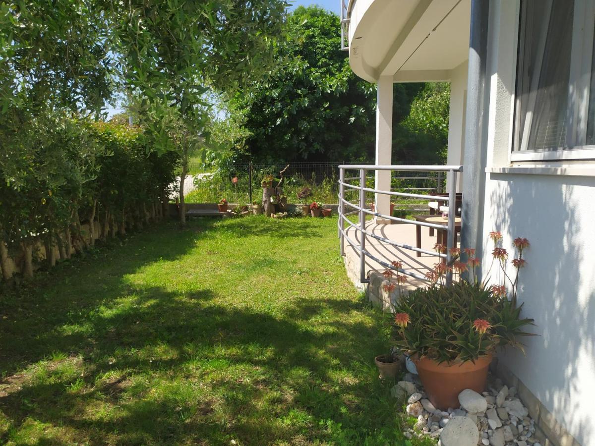 Dadić Apartments Bibinje Bagian luar foto