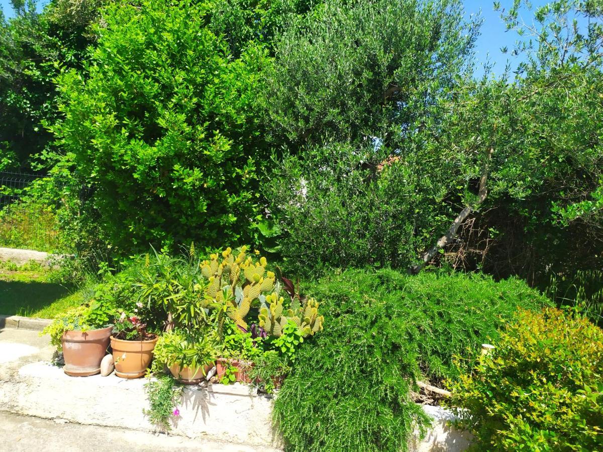 Dadić Apartments Bibinje Bagian luar foto